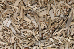 biomass boilers Cartmel
